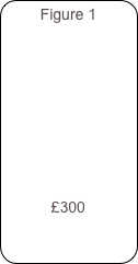 Figure 1










£300